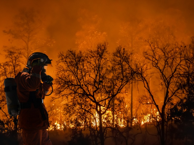 What the industry learned from a 20-year-old wildfire Image
