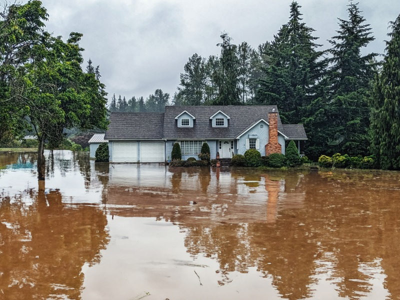 Insurers bring Cat claims in-house: How independent adjusters adapt Image
