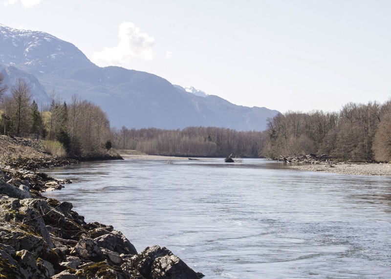 Flood, avalanche risks remain elevated throughout B.C.’s South Coast Image