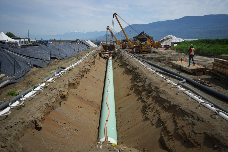 Regulator calls out Trans Mountain for ‘environmental non-compliance’ in B.C. Image