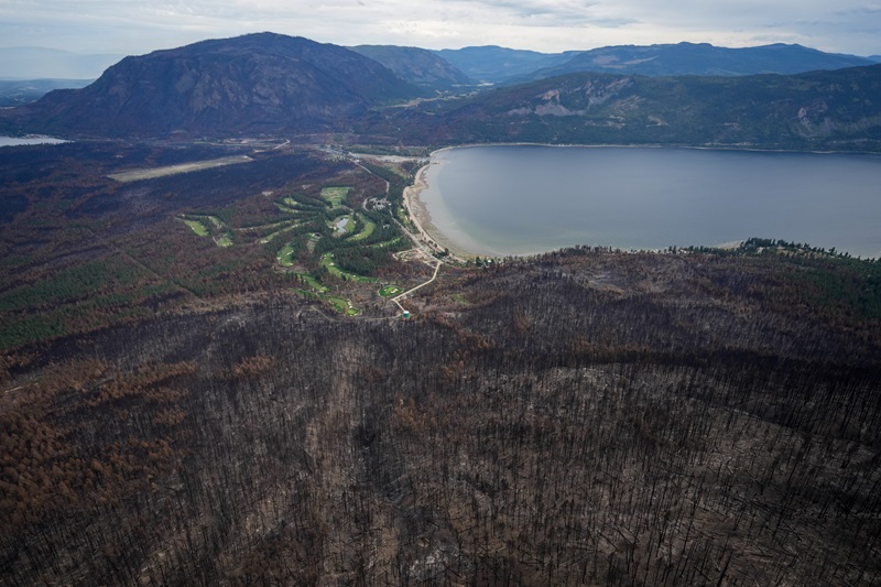 Fire bans announced in B.C. and Alberta as more than 170 wildfires burn Image