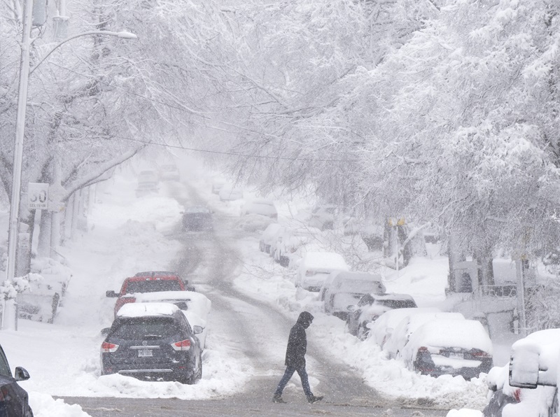 Spring storm knocks out power to tens of thousands across Quebec, Ontario Image