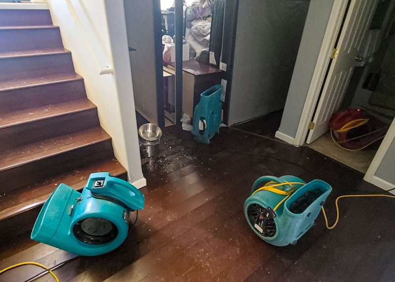 What’s new in restoration and adjuster national licensing? Image