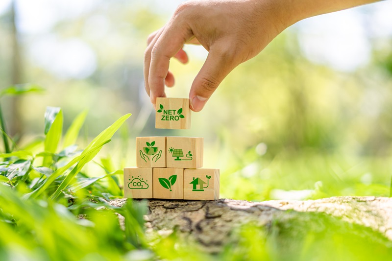 Carbon insurance: Bigger than cyber? Image