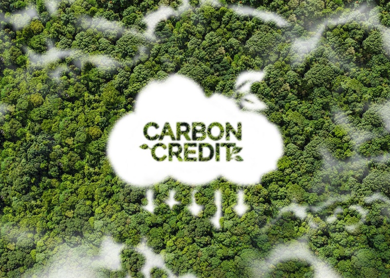 Why this MGA is betting on carbon insurance Image