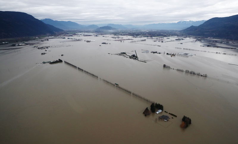 Court certifies class-action flooding lawsuit against B.C. city Image