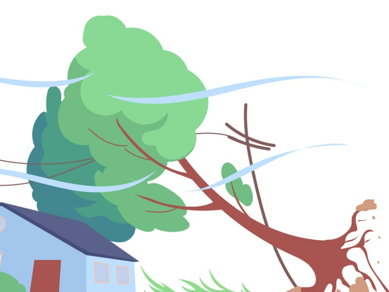 Expectations for 2024’s hurricane season Image