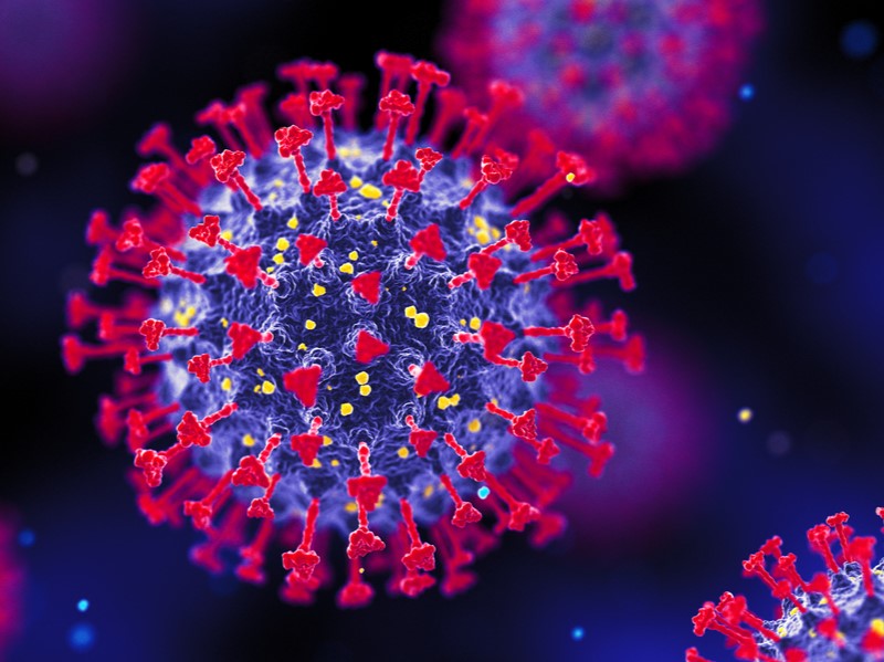 Court dismisses business owners’ COVID-19 coverage appeal Image