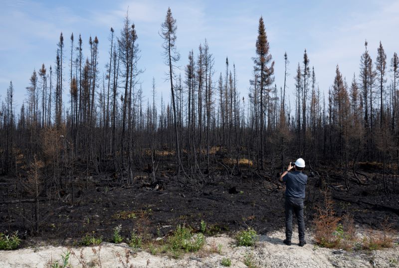 Port-Cartier, Que. officials say forest fire situation unchanged after evacuations Image