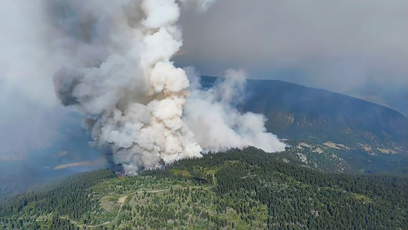 Wildfire near Jasper National Park prompts evacuation order and highway closures Image