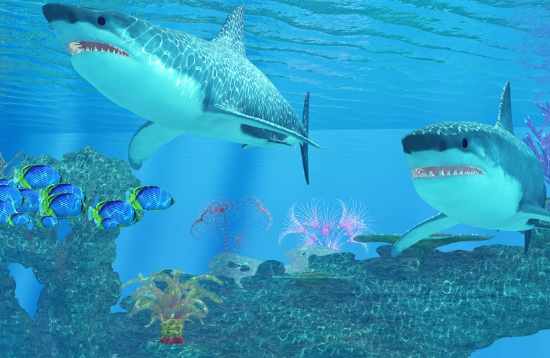 OSFI’s new “shark tank” approach to stale-dated guidance Image