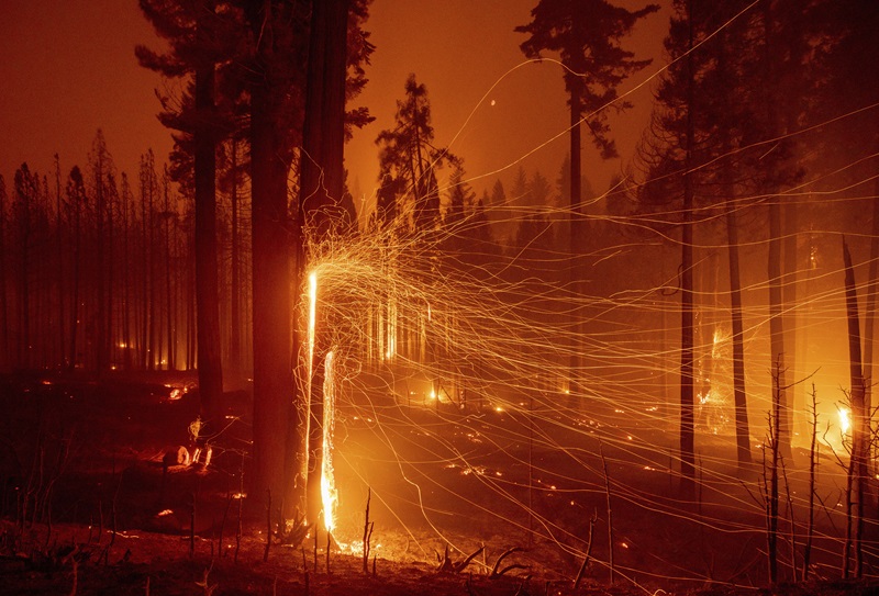 How to help clients mitigate wildfire damage article image