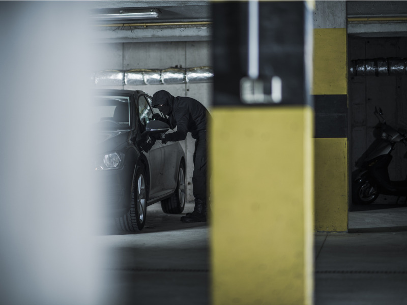 Transportation minister looks for provinces, territories to collaborate on car thefts Image