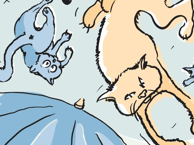 Yes, adjusters are ‘adjusting’ to fast-paced Nat Cats Image