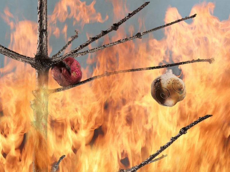 Your clients want the holidays to be ‘fire’ but not like this Image