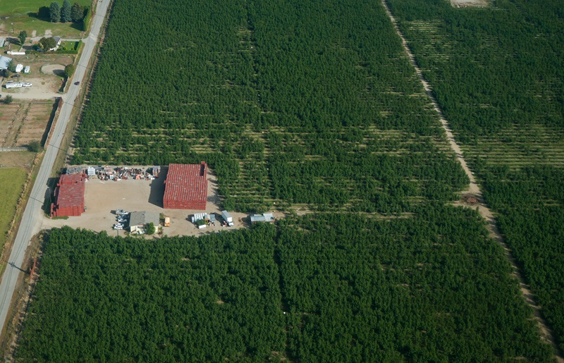 B.C. farmers hit by 2024 deep freeze wary of 2025 season Image