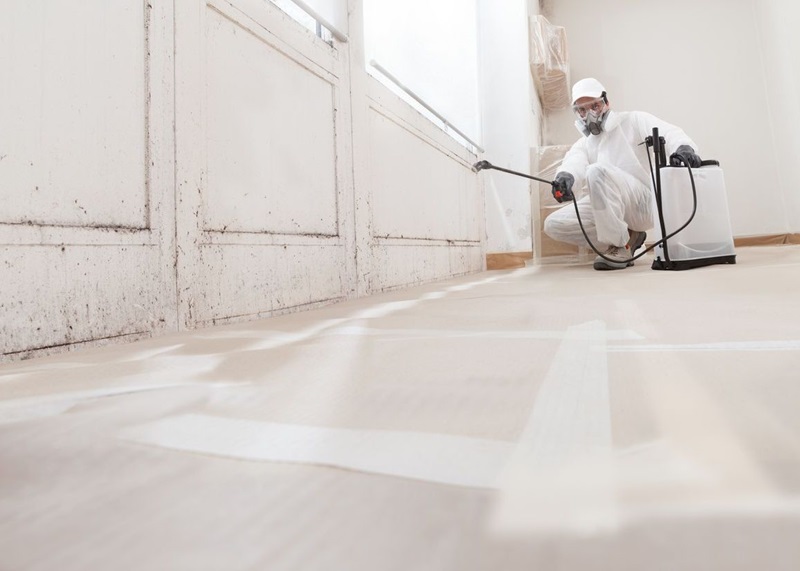 What’s new with property restoration networks? Image