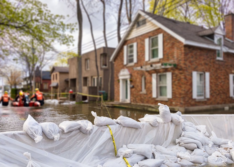 A call for more government involvement in NatCat response Image