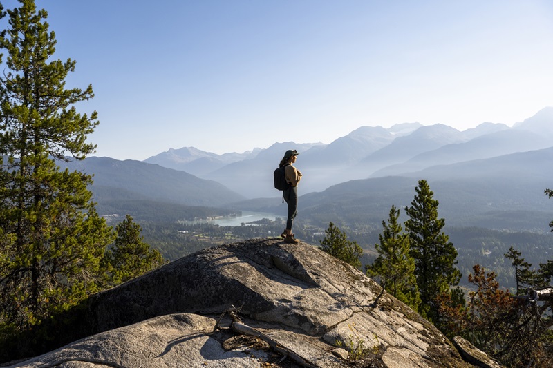 “Milestone” deal makes BrokerLink a truly national brokerage Image