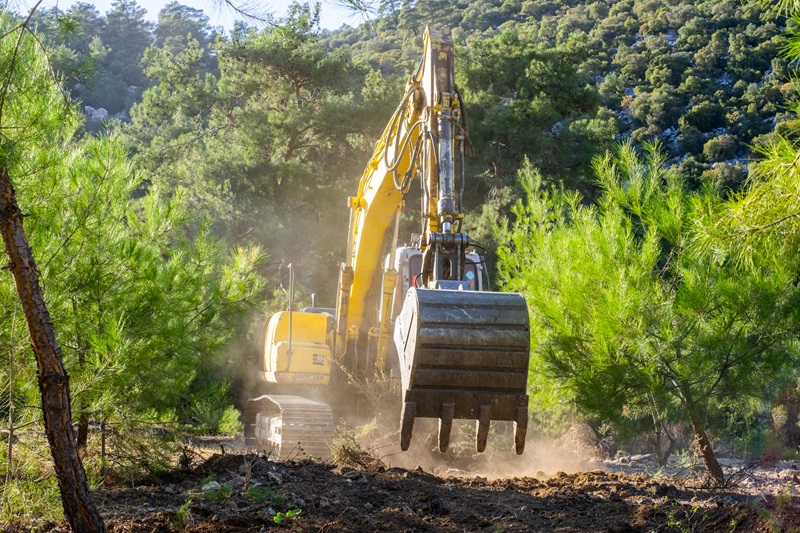 Why AIG won its appeal of a $255K subrogation lawsuit Image