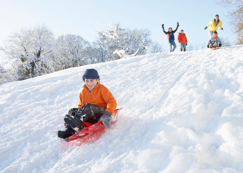Tobogganing ban recommended in Ontario township Image