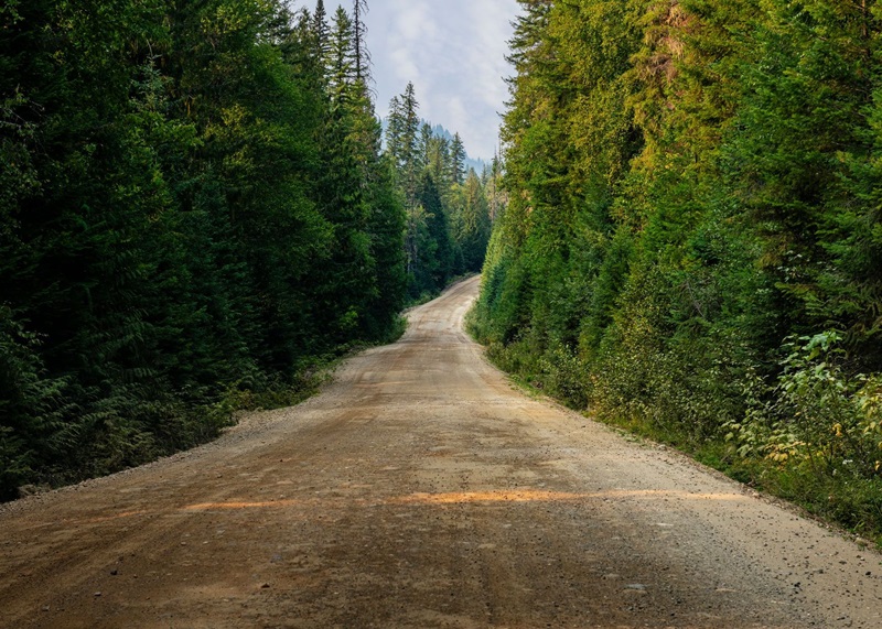 Appeal court overturns ruling in negligence claim over forest service road Image