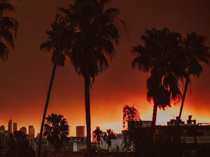 What Canada can learn from LA’s wildfires Image