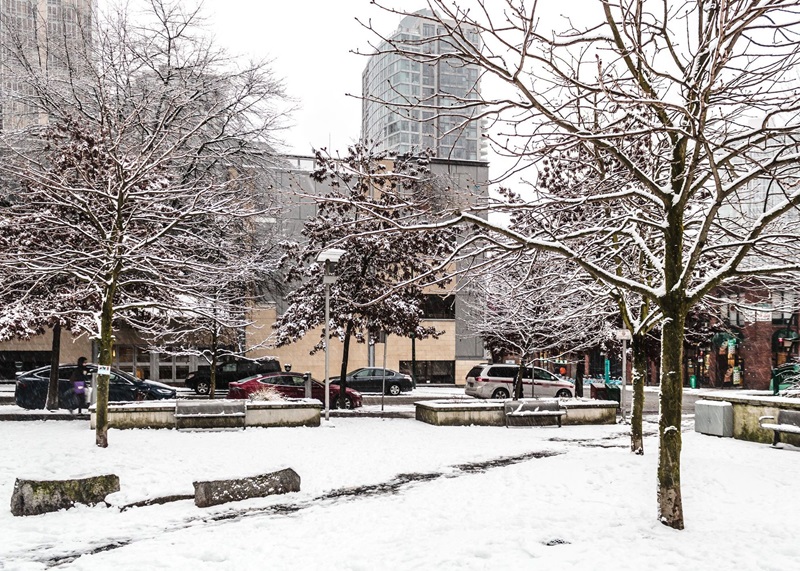 More snow closes many schools and campuses amid B.C. freeze Image