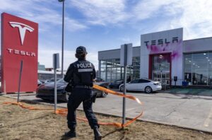 Tesla backlash: What vehicle owners are facing Image