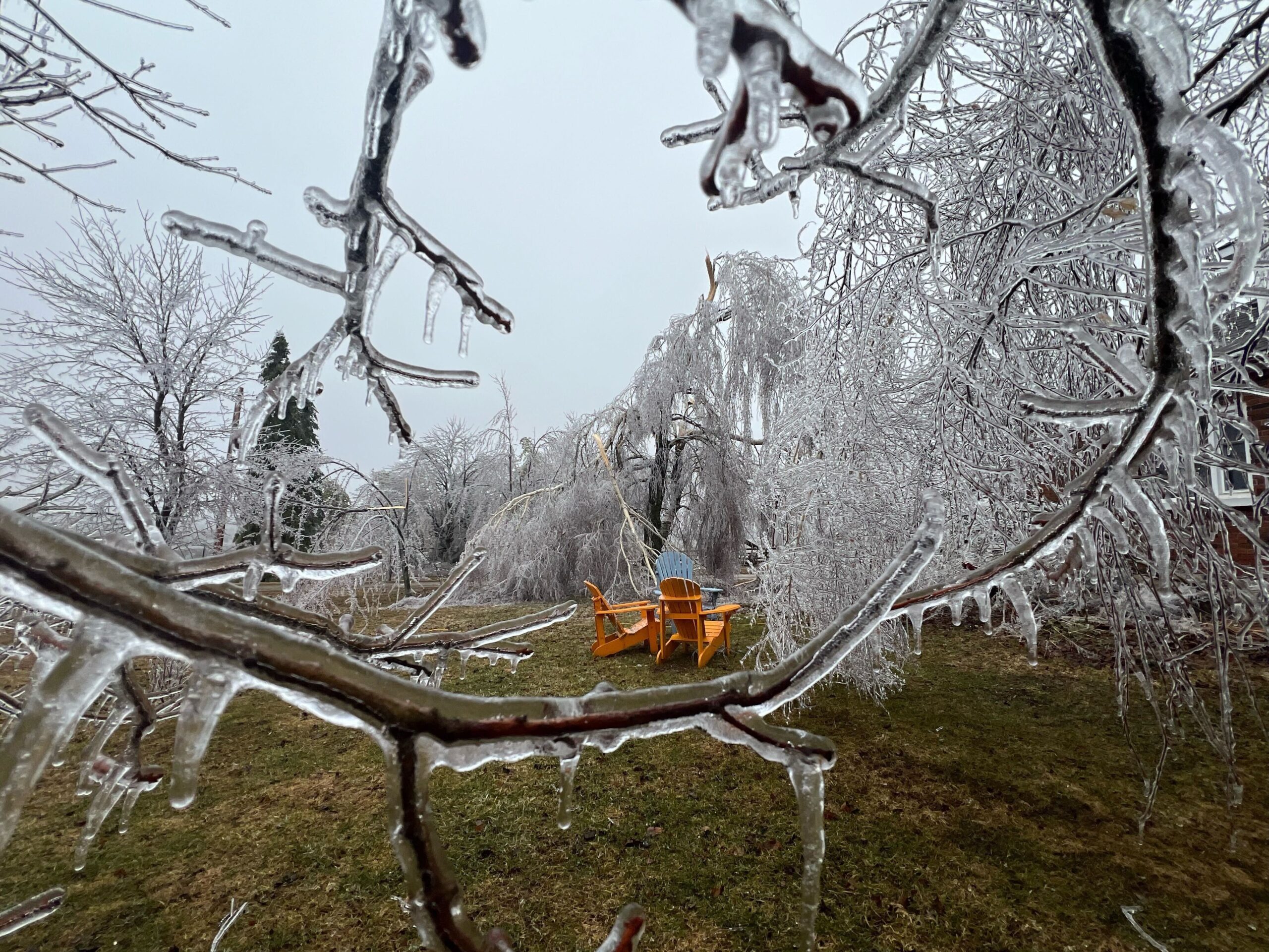 Ice covered trees branches are shown in Meaford, Ont., Sunday, March 30, 2025. More than 200,000 Ontarians are without power as this weekend's ice storm moves east, threatening parts of New Brunswick and Prince Edward Island.THE CANADIAN PRESS/HO-Becky Holvik