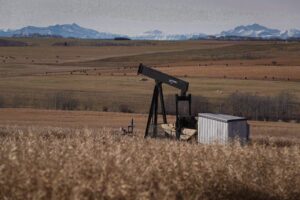 Oil well report updated after concerns over taxpayer backstop recommendation Image