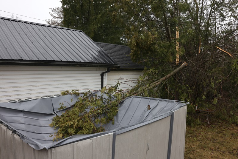 A damaged backyard shed in Peterborough, Ont. following an ice storm.