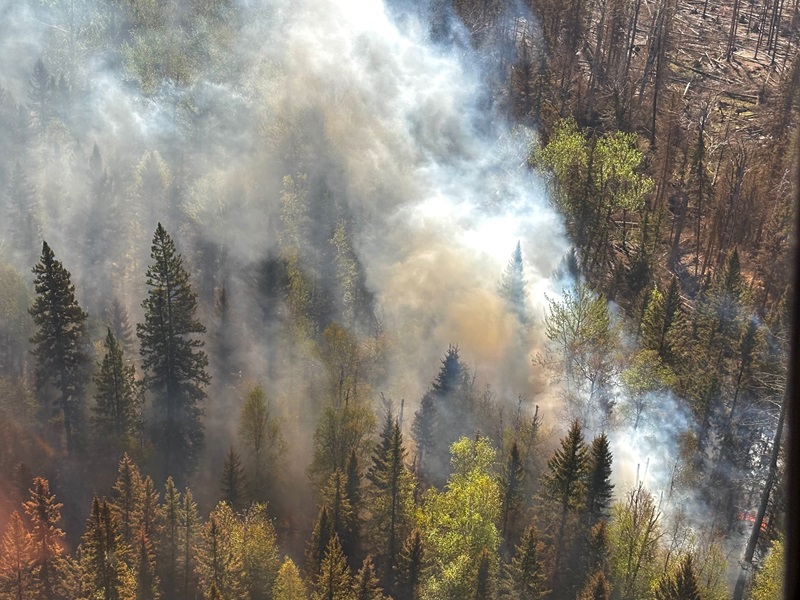 An overhead view of an overwintering fire smouldering in a boreal forest