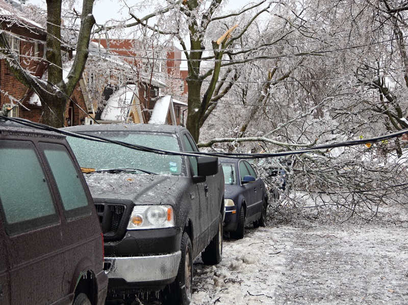 Downed tree branches and power lines on a residential street in Toronto.
