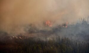 CatIQ releases damages from Manitoba and Saskatchewan wildfires  Image