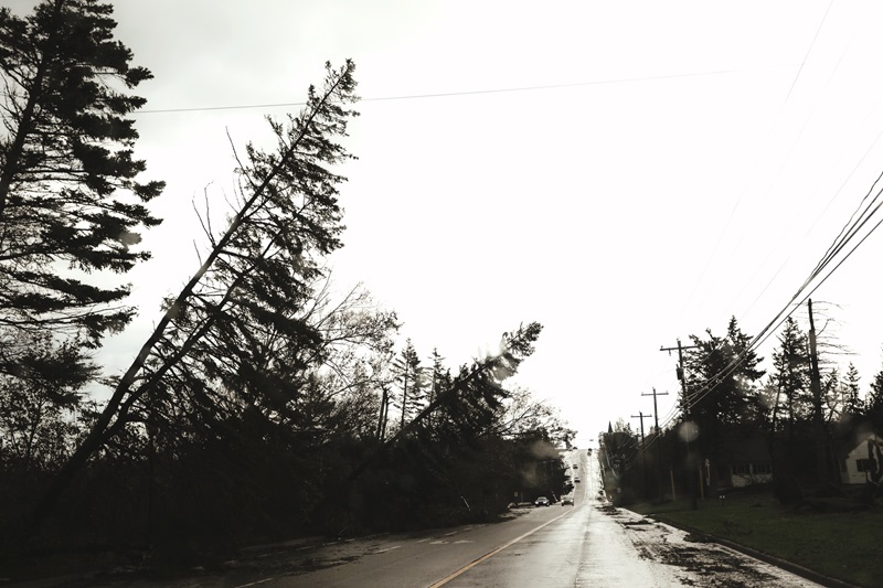 The aftermath of Hurricane Fiona on Prince Edward Island.