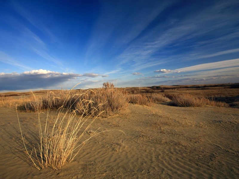 Great Sand Hills, Saskatchewan