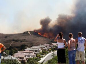 Can insurers leverage clients to reduce NatCat losses? article image