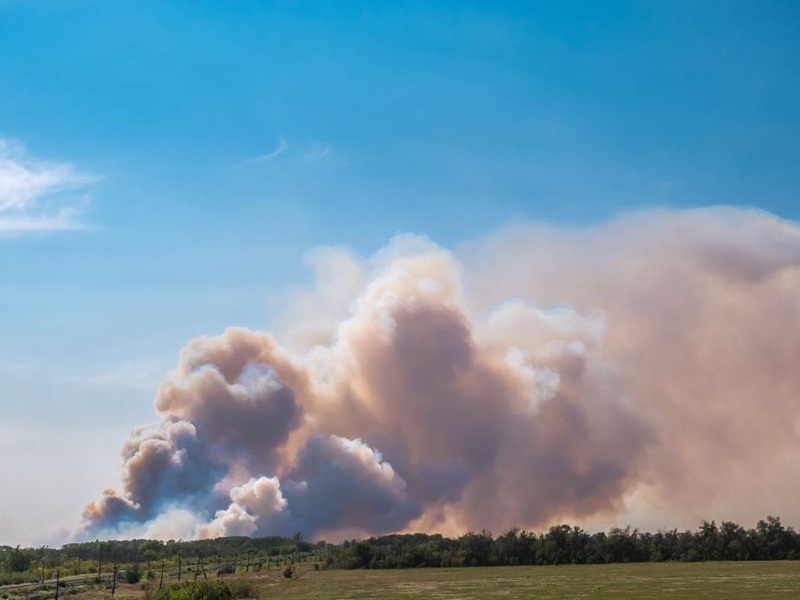 A big cloud of thick smoke from a wildfire