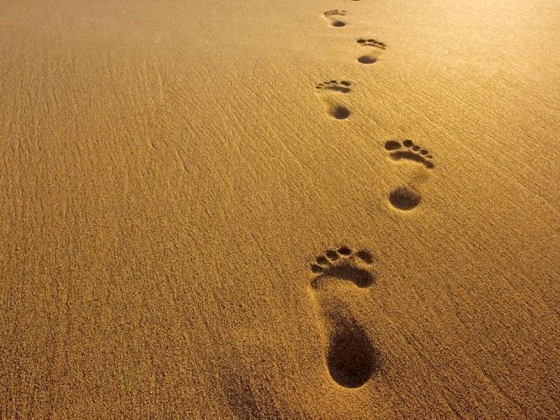 Footprints in the sand representing step by step progress