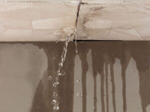 Water damage keeps county building closed Image