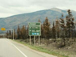 CatIQ updates loss numbers for 2024’s Jasper wildfire Image