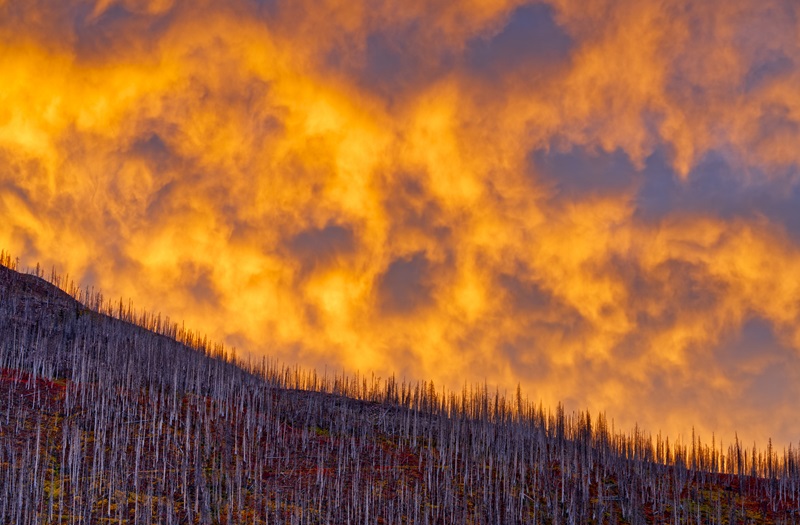Rocky Mountain views after a forest fire in Waterton National Park in Alberta Canada