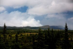 Wildfire in Nova Scotia grows; cooler temperatures help firefighters in N.L. Image