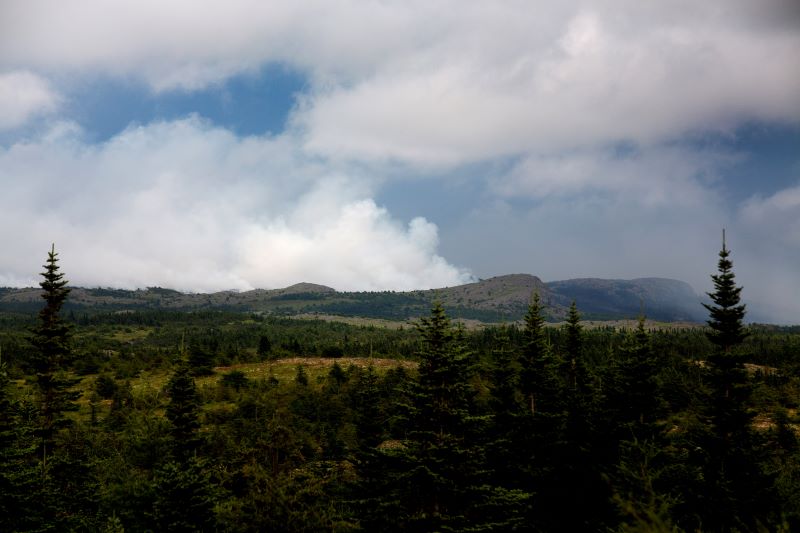 Smoke from the Kingston wildfire is visible along Route 74, northwest of Victoria, N.L., on Friday, Aug. 15, 2025. THE CANADIAN PRESS/Paul Daly