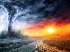 IBC weighs in on CISRO’s adjuster mobility principles Image