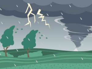 Lessons for adjusters from 2024’s NatCat deluge Image