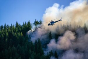 Insurers report good first-half results, but wildfires remain top of mind Image