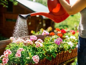 How brokerages grow DEI at the grassroots Image