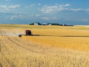 How expanded steel tariffs are affecting farm insurers Image